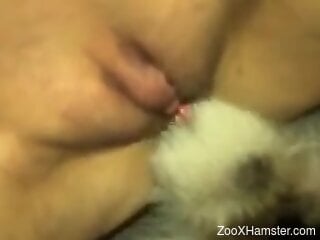 Aroused woman inserts dog's penis up her shaved pussy