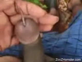 Horny dude inserts a long worm up his dick for some nasty stim...