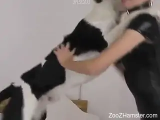 Black dog gets to screw a redheaded super slut