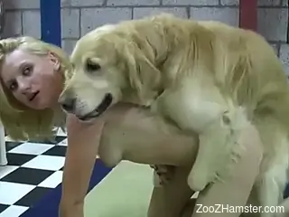 Brunette beauty manhandled by monster dog cock