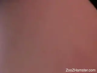 Bubble butt hottie turned into dog cock slut