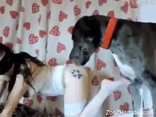 Skinny brunette bouncing on a dog's juicy penis here