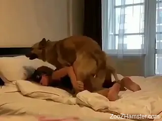Sexy dog lets this blonde worship its throbbing dick