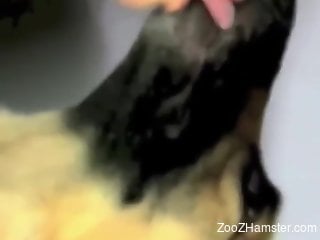 Dirty animal enjoys a hot make out session on camera