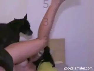 Masked lady getting screwed by a really sexy beast