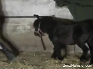 Black beast rams its colossal cock in her pussy