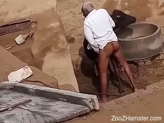 Dude sneakily fucking a beast while at the farm