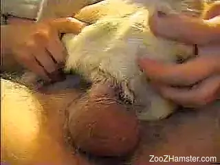 Hot animal impaled on a really nice looking dick