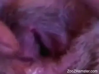 Leaking animal twat fingered by a seasoned zoophile