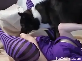 Leggy lady getting fucked by a really kinky beast