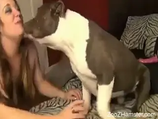 Brunette MILF rewards this dog with a nice rimjob
