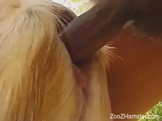 Fun little whore getting fucked by a seasoned zoophile