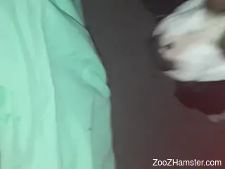 Guy's hairy cock is great to taste and worship