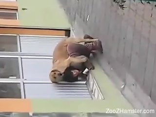 Zoophilic lady busted getting fucked by a beast