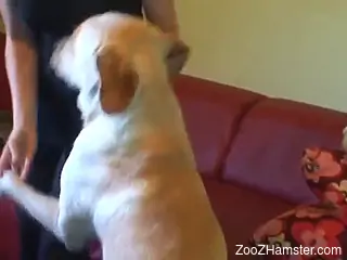 Sexy creature finds a perfect zoophilic angel to fuck