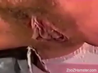 Hairy MILF pussy is going to get fucked by a dog
