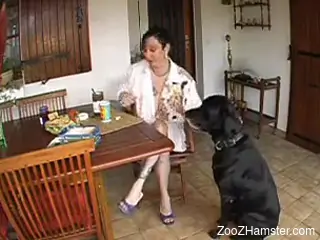 Brunette momma begging for a big dick in her mouth