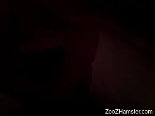 Warm closeup with a man deep fucking a furry animal