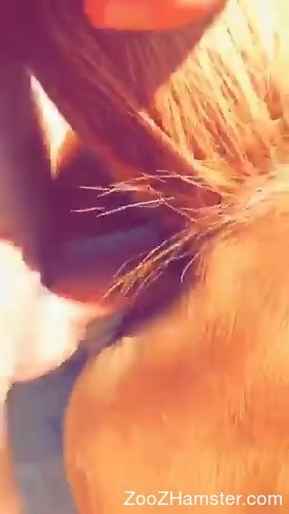 Mare pussy getting pounded from behind by a horny guy