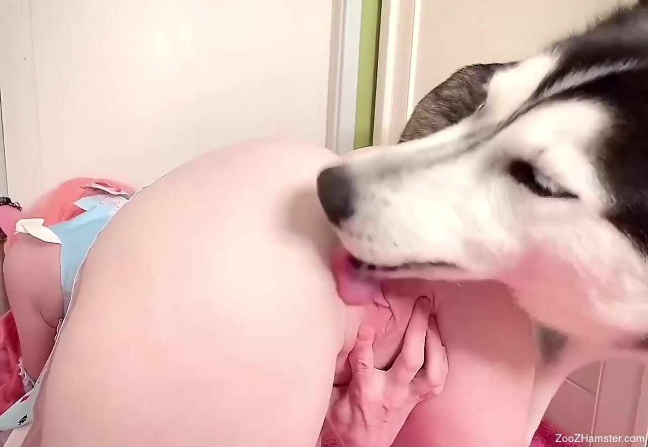 Dog licks girlfriend ass pussy