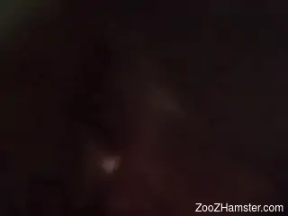 Addictive scenes of zoo perversions for the ultimate orgasms