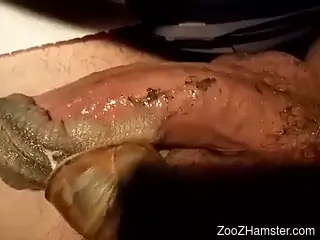 Man puts snails on his dick during hot masturbation kinks
