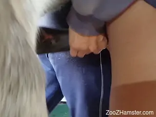 Nude female guides monster horse dick towards her pussy