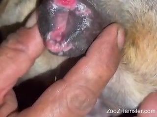 Dude fucks this animal with no mercy and it looks HOT