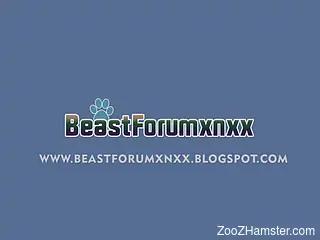 Black beast banging a pink pussy hottie up close