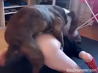 Animal banging a skinny and pasty zoophile hoe