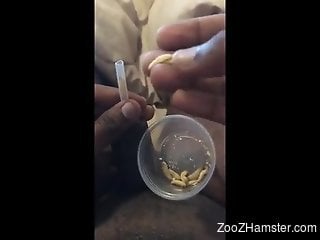 Dude inserting maggots into his urethra for fun