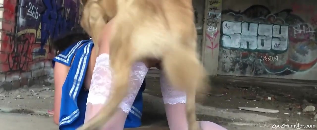 HOt chick in white stockings loves public zoo sex