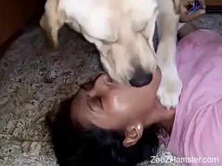White dog is making out with a brunette bitch