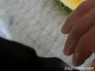 Guy's cock gets polished by a rather sexy dog