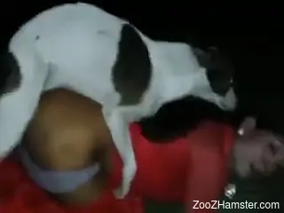 Lady pulls down her panties to let this dog FUCK