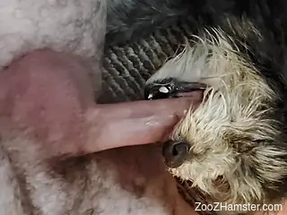 Hot beast's sexy throat gets fucked with passion