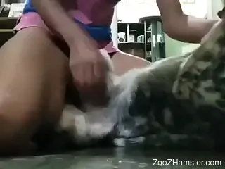Lady riding a wonderful animal penis with no shame