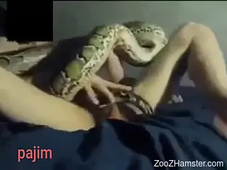 Dude fucks a snake in video that looks inventive