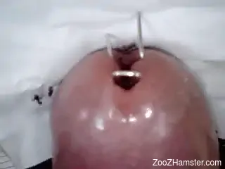 Dude jerks off with plenty of ants crawling on his dick