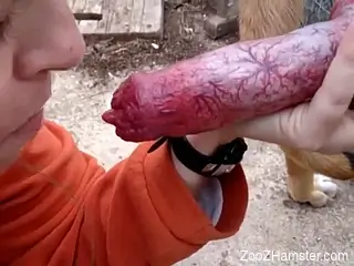 Zoophile pulls the dog by the tail to get it hard
