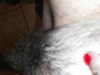 Hairy pussy of a hot lady is going to get licked