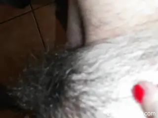 Hairy pussy of a hot lady is going to get licked