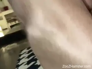 Aroused female craves dog's dick for unique animal porn scenes