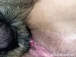 Harsh sex with her dog while licking her pussy and fucking her