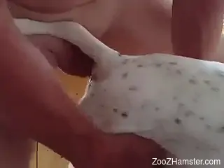 Naked man deep humps furry dog and comes inside it
