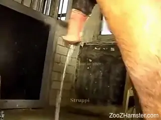 Curvy female inserts giant horse dick in her pierced cunt
