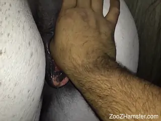 White mare gets fingered and we see hardcore love