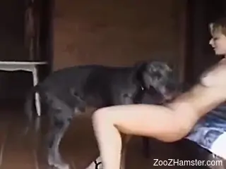 Sexy amateur female loudly fucked by the dog after blowjob