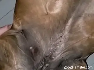 Guy with a shapely ass is going to fuck a beast