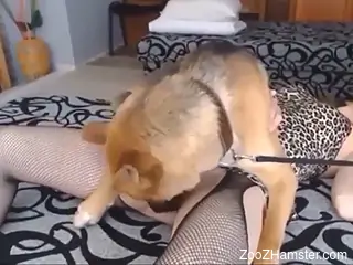 Hot lady with long legs is going to fuck the dog